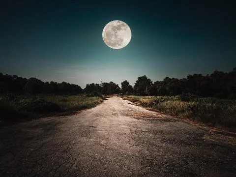 Landscape of night sky and moon. Asphalt road leading into the forest. Stock Photos