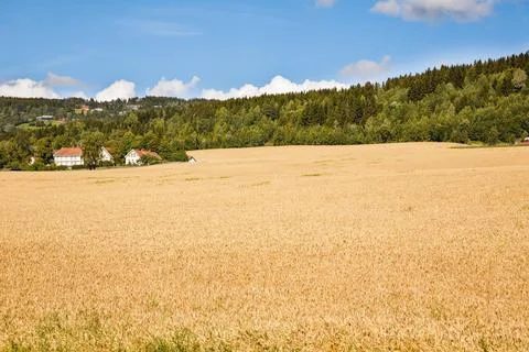 Landscape in Norway Stock Photos