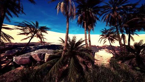 Landscape of oasis with palm trees 스톡 일러스트
