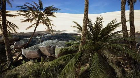 Landscape of oasis with palm trees Stock Illustration
