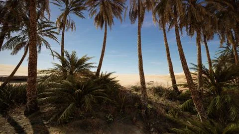 Landscape of oasis with palm trees Illustrazione stock