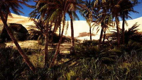 Landscape of oasis with palm trees 스톡 일러스트
