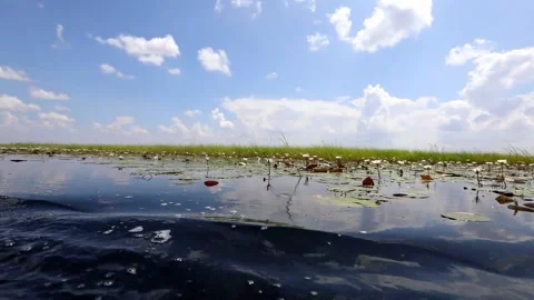 Landscape of the Okavango Delta Stockbeeldmateriaal 154065747