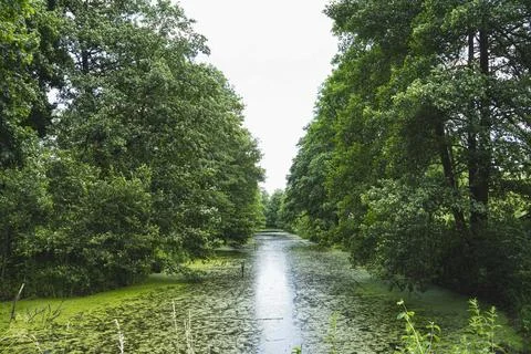 Landscape of an old river bed in the bug river valley, the banks of which a.. Foto stock