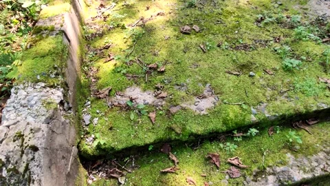 Landscape with an old stone staircase leading up the mountain. Video stock 137798511