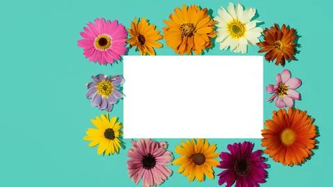 Landscape oriented blank frame encircled by a diverse mix of colorful flowers Stock Illustration