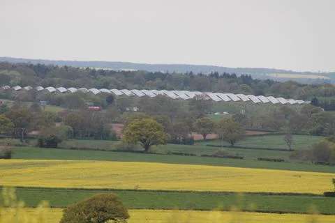 Landscape over fields Stock Photos