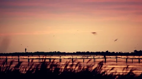 Landscape over lake or river with lighthouse far off Stock Footage 71167699