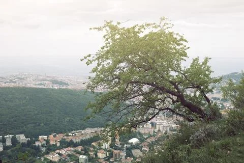 Landscape over Trieste Foto stock