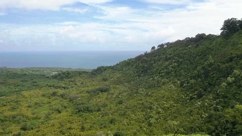 Landscape Overlooking Ocean in Hawaii Video stock 105375112