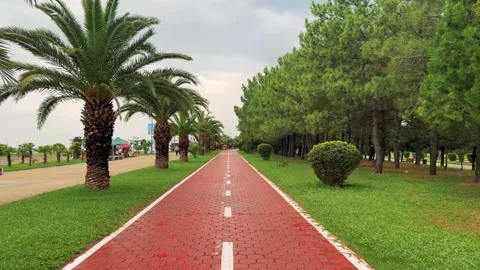 Landscape overlooking red bike path along beach promenade with palm trees Stock Footage 250303607