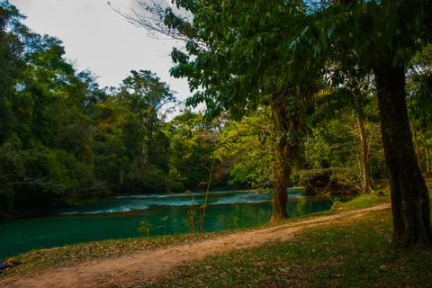 Landscape overlooking the river that flows through the forest. Mexico, waterf Stock Photos