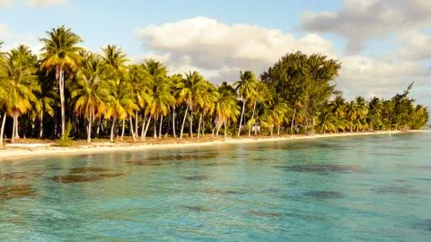 Landscape of Palm Beach under wind Stock Photos
