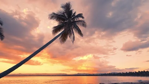 Landscape of palm trees over calm sea waves against orange sunset. Stock Footage 301871748