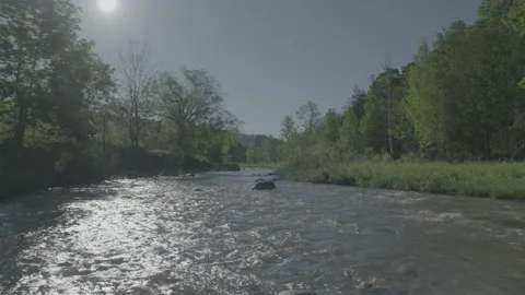 Landscape pan of a water stream Stock Footage 148567178