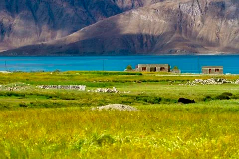 Landscape PangoTso 스톡 사진
