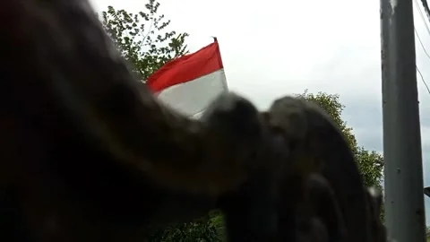 Landscape panning of red and white Indonesian flag in windy weather. Stock Footage 325613495