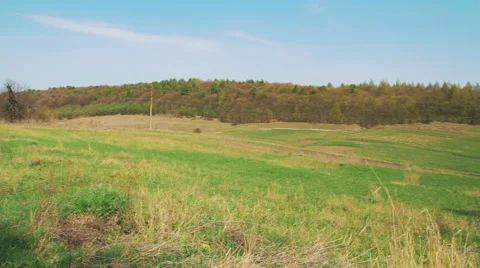 Landscape Panorama. View of the Forest Stock Footage 62092025