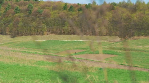 Landscape Panorama. View of the Forest Stock Footage 62103599