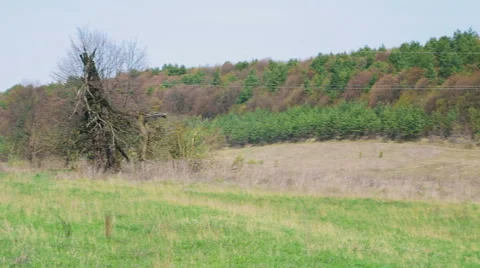 Landscape Panorama. View of the Forest Stock Footage 62112036