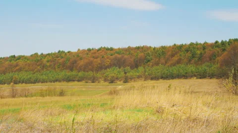 Landscape Panorama. View of the Forest Stock Footage 62184279