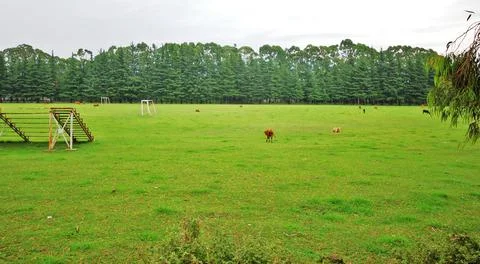 The landscape ,panoramic view Stock Photos