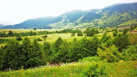 The landscape ,panoramic view Stock Photos