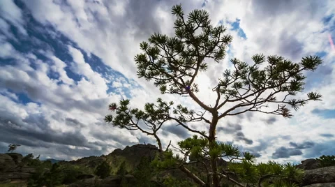 Landscape, Panoramic view of rocky terrain Stock Footage 48532439