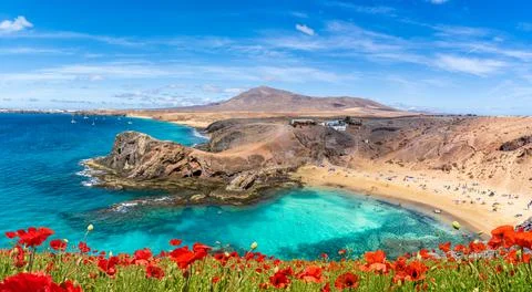 Landscape with Papagayo beach Stock Photos