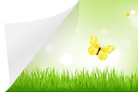 Landscape with paper Stock Illustration