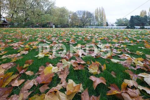 Landscape of park near space needle in seattle Stock Photos