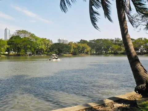 Landscape in the park Stock Photos