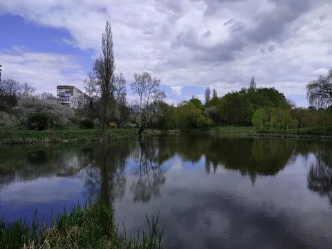 Landscape in the park Stock Photos
