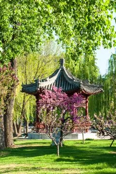 Landscape of park in spring Foto stock