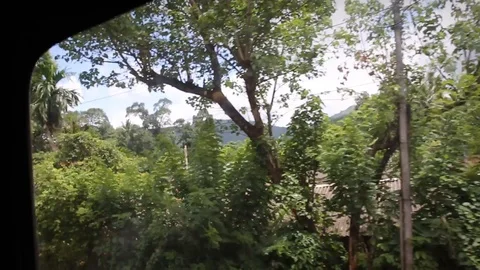Landscape passing by from Train in Sri Lanka Stock Footage 104123236