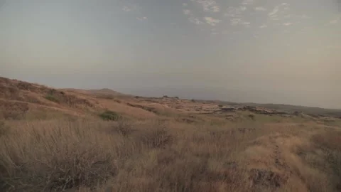 Landscape in the pasture 스톡 동영상 150871119