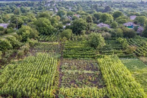 Landscape with patchwork of small fields in Saharna Noua village, Moldova Stock Photos