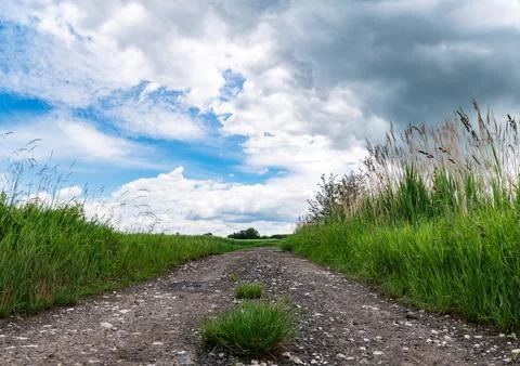 Landscape of path among fields in western Poland with bright colors Foto stock