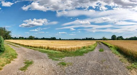 Landscape of path among fields in western Poland with bright colors Foto stock