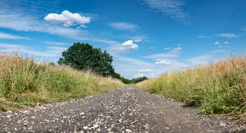 Landscape of path among fields in western Poland with bright colors Foto stock