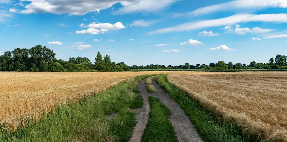 Landscape of path among fields in western Poland with bright colors Foto stock