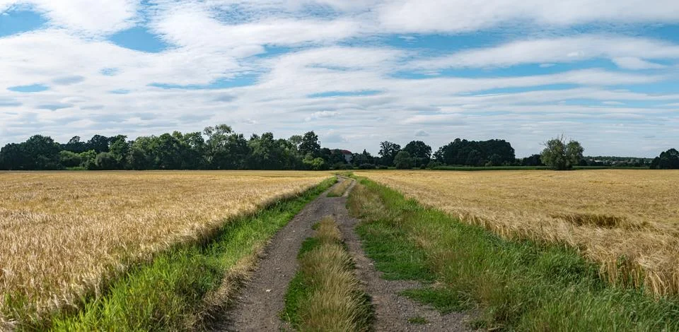Landscape of path among fields in western Poland with bright colors Фото