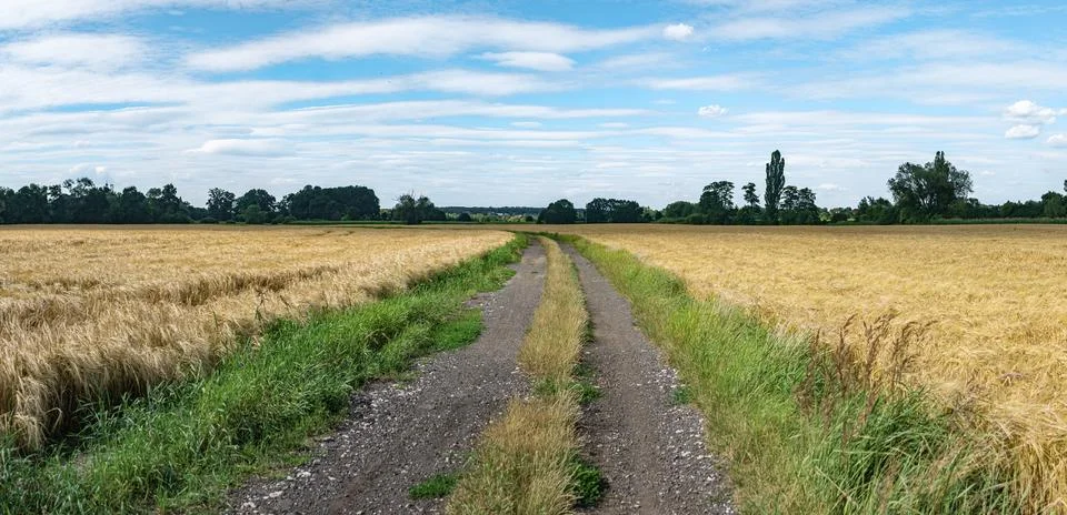 Landscape of path among fields in western Poland with bright colors Foto stock