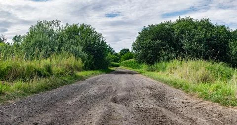 Landscape of path among fields in western Poland with bright colors 库存照片