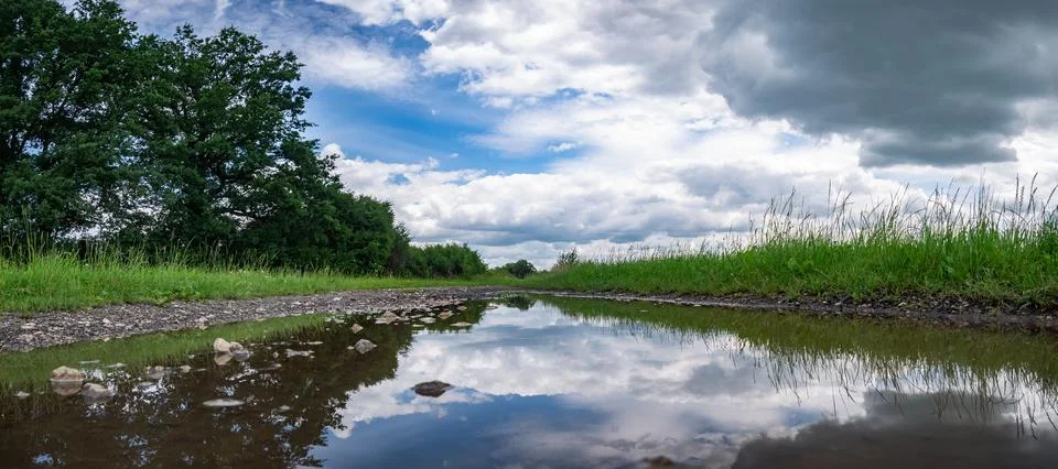 Landscape of path and puddle among fields in western Poland Фото