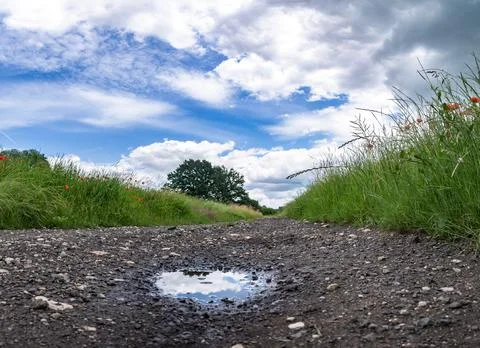 Landscape of path and puddle among fields in western Poland Фото