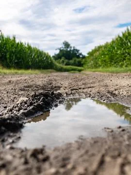 Landscape of path and puddle among fields in western Poland Photos