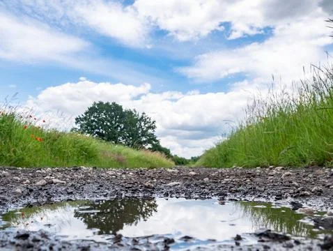 Landscape of path and puddle among fields in western Poland Photos