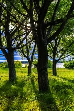 Landscape with a path at the edge of the forest Stock Photos