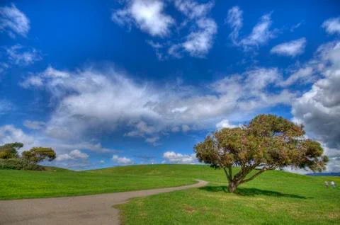 Landscape with path Foto stock